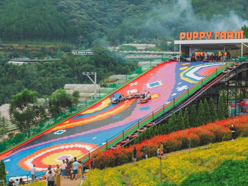 VéThamQuanNôngTrạiCúnPuppyFarmĐàLạt