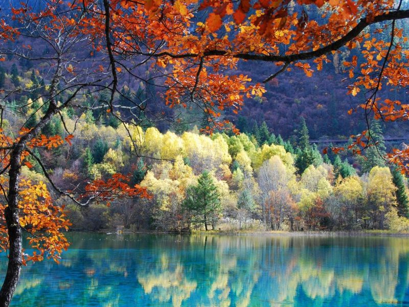 ISknWuxtYNYL5YOW3E4gXIYnhpnJYy4KmKl6nBvV