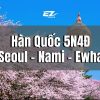 Hoa Anh đào 2 HQ (1)