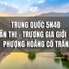Tieu De